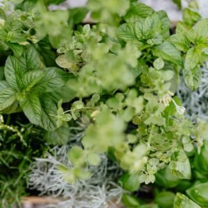 Woode Poudre de Cacao Brut Bio – 200 g