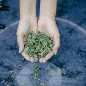 Woode Écorces de Quinquina Naturelles – 250 g